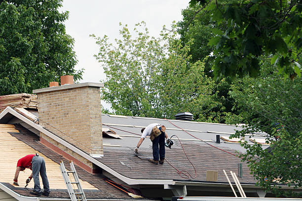 Best Roof Gutter Cleaning  in Mart, TX